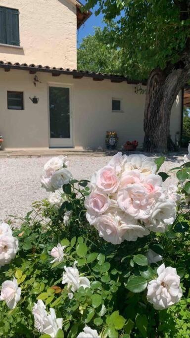 Casa Bellona Montebelluna Luaran gambar